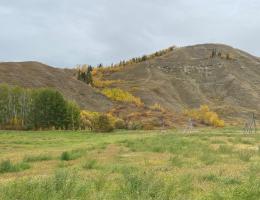 Teepee frames in a field with hills in the background.